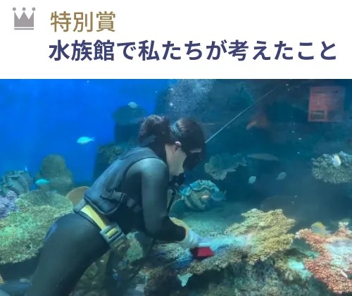 特別賞 『水族館で私たちが考えたこと』