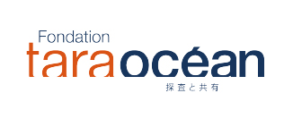 タラオセアンジャパン